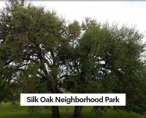 Silk Oak Neighborhood Park