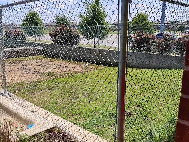 Chain-link fenced area with a patch of grass and bare soil. In the background, bushes with red flowers line a concrete wall, and distant trees are visible. Bright, sunny day.