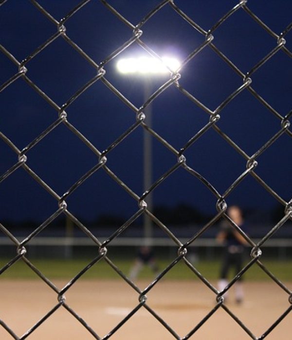 chain-link-fence